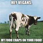Does anybody know where this cow is from? Also... take that vegans! | HEY VEGANS, MY FOOD CRAPS ON YOUR FOOD! | image tagged in cow showing rear end,anybody know this cow | made w/ Imgflip meme maker