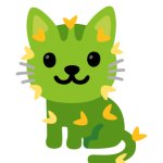 cactus cat