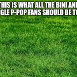 If you like BINI or P-Pop, then you should go touch grass | THIS IS WHAT ALL THE BINI AND EVER SINGLE P-POP FANS SHOULD BE TOUCHING | image tagged in touching grass,funny,cringe,philippines | made w/ Imgflip meme maker