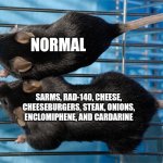 Buff Super Mice | NORMAL; SARMS, RAD-140, CHEESE, CHEESEBURGERS, STEAK, ONIONS, ENCLOMIPHENE, AND CARDARINE | image tagged in buff super mice | made w/ Imgflip meme maker