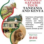 Wildlife Safaris Tour Tanzania And Kenya