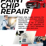 Paint Chip Repair