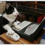 Shock cat computer