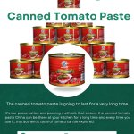 Canned Tomato Paste