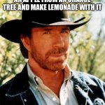 Chuck Norris Meme | CHUCK NORRIS CAN PICK AN APPLE FROM AN ORANGE TREE AND MAKE LEMONADE WITH IT | image tagged in memes,chuck norris | made w/ Imgflip meme maker