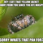 the spider who needs to live | HEY I GOT THAT YELLOW JACKET AWAY FROM YOU SINCE YOU ATE WASPS; SORRY WHATS THAT PAN FOR? | image tagged in misunderstood spider,let him cook | made w/ Imgflip meme maker
