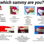 which sammy are you?