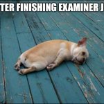 tired dog | ME AFTER FINISHING EXAMINER JOB #1 | image tagged in tired dog | made w/ Imgflip meme maker