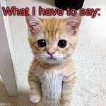 what kitty has to say :3 meme