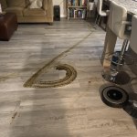 Roomba smearing poop
