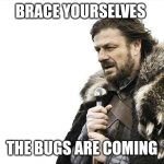 Brace Yourselves X is Coming | BRACE YOURSELVES; THE BUGS ARE COMING | image tagged in memes,brace yourselves x is coming | made w/ Imgflip meme maker