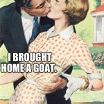 The Harlequin Homesteader | I BROUGHT HOME A GOAT. | image tagged in goat | made w/ Imgflip meme maker