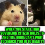 Funny | WHEN YOU START THAT SOVEREIGN CITIZEN BULL$#!+ AND THE JUDGE CAN'T WAIT TO SMACK YOU IN TO REALITY. | image tagged in funny,court,judge dredd,citizen science,cat,hamster | made w/ Imgflip meme maker