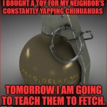 Fetch | I BOUGHT A TOY FOR MY NEIGHBOR'S CONSTANTLY YAPPING CHIHUAHUAS; TOMORROW I AM GOING TO TEACH THEM TO FETCH. | image tagged in hand grenade | made w/ Imgflip meme maker