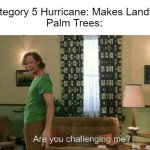 Are you challenging me? | Category 5 Hurricane: Makes Landfall
Palm Trees: | image tagged in are you challenging me,hurricane,hurricanes | made w/ Imgflip meme maker