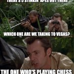 The one who's playing chess | THERE'S 5 STINKIN' APES OUT THERE; WHICH ONE ARE WE TAKING TO VEGAS? THE ONE WHO'S PLAYING CHESS | image tagged in which x the one doing y | made w/ Imgflip meme maker