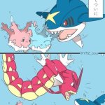 Gyarados save Corsola from Sharpedo