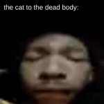 yummy dead bodie | catowner: dies; the cat to the dead body: | image tagged in gifs,cats | made w/ Imgflip video-to-gif maker