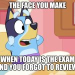 nah | THE FACE YOU MAKE; WHEN TODAY IS THE EXAM AND YOU FORGOT TO REVIEW | image tagged in funny,bluey,school,exam,so true | made w/ Imgflip meme maker