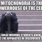 Yeah let’s learn about the rest of the Eukaryote cell | “MITOCHONDRIA IS THE POWERHOUSE OF THE CELL”; GOLGI WISHING STUDENTS KNEW WHAT THE APPARATUS HE DISCOVERED DOES | image tagged in dejected | made w/ Imgflip meme maker