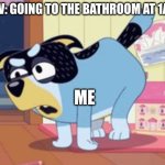 hope you like this meme | POV: GOING TO THE BATHROOM AT 1AM:; ME | image tagged in daddy walrus | made w/ Imgflip meme maker