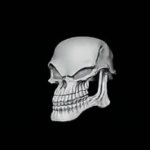 Bad to the Bone