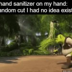 *pain* | puts hand sanitizer on my hand:; the random cut I had no idea existed: | image tagged in gifs,funny,memes,relatable,shrek,funny memes | made w/ Imgflip video-to-gif maker