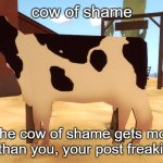 cow of shame