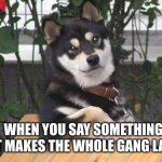 What a funny guy | WHEN YOU SAY SOMETHING THAT MAKES THE WHOLE GANG LAUGH: | image tagged in cool dog,gang,funny | made w/ Imgflip meme maker