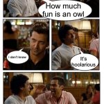 ZNMD | How much  fun is an owl; I don’t know; It’s hoolarious | image tagged in memes,znmd | made w/ Imgflip meme maker