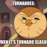 It's tornado season! | TORNADOES:; WHEN IT'S TORNADO SEASON | image tagged in hooty smirks,weather,jpfan102504,relatable | made w/ Imgflip meme maker