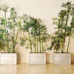 Shutterstock Image #1