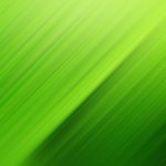 Shutterstock Image #3