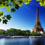 Shutterstock Image #5