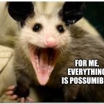 Opossums rule! | FOR ME, EVERYTHING IS POSSUMIBLE! | image tagged in opossum,everything is possible,marsupial supremacy,memes,mammals,impossible | made w/ Imgflip meme maker