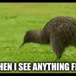 True | ME WHEN I SEE ANYTHING FLUFFY | image tagged in gifs,funny,kiwi | made w/ Imgflip video-to-gif maker