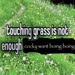 TOUCH GRASS