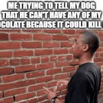 I'll Be Gone For The Next Two Weeks As I Have To Go Somewhere | ME TRYING TO TELL MY DOG THAT HE CAN'T HAVE ANY OF MY CHOCOLATE BECAUSE IT COULD KILL HIM | image tagged in gifs,memes,relatable,dog,chocolate,safety | made w/ Imgflip video-to-gif maker