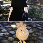 Mad chocobo chick template