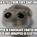 Sad Hamster | DOGS WHEN U TELL THEM THEY CANT HAVE GRAPES; DIPPED IN CHOCOLATE COATED WITH BATTERY ACID AND WRAPPED IN ELECTRICAL WIRES | image tagged in sad hamster,dogs,funny,memes,oh wow are you actually reading these tags,goofy ahh | made w/ Imgflip meme maker