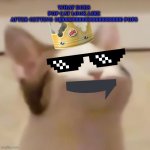 Popcat | WHAT DOES POP CAT LOOK LIKE AFTER GETTING 100000000000000000000000 POPS | image tagged in pop cat | made w/ Imgflip meme maker