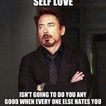 Self None | SELF LOVE; ISN'T GOING TO DO YOU ANY GOOD WHEN EVERY ONE ELSE HATES YOU | image tagged in no love,it's time to start asking yourself the big questions meme,that face when,still a better love story than twilight | made w/ Imgflip meme maker