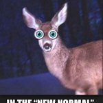 Customer Service Today | CUSTOMER SERVICE; IN THE “NEW NORMAL” | image tagged in deer in headlights,customer service,millennials,generation z,customers | made w/ Imgflip meme maker