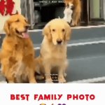 Best Family Photo | image tagged in gifs,best family photo | made w/ Imgflip video-to-gif maker