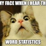 My thoughts on Statistics | MY FACE WHEN I HEAR THE; WORD STATISTICS | image tagged in memes,scared cat | made w/ Imgflip meme maker