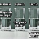 Pessimist Optimist Leftist