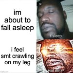 it wasn't my delusion, but an ant (who's now dead) | im about to fall asleep; i feel smt crawling on my leg | image tagged in memes,sleeping shaq | made w/ Imgflip meme maker