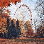 Ferris Wheel In Fall