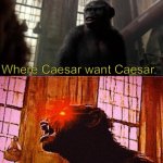 As soon they no longer work, you’re their temporary “assistant” | NO ONE:
MY DAD AS SOON HE GET A VACATION: | image tagged in where caesar want caesar koba dtpta,planet of the apes,relatable | made w/ Imgflip meme maker