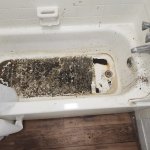 Shitty water pressure